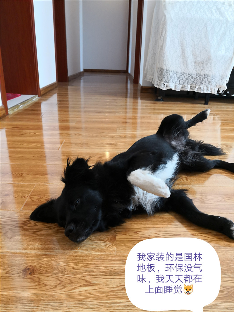 开云网页版·官方版在线登入-（中国）官方网站
